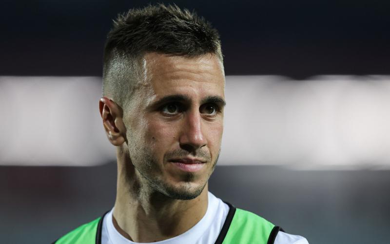 Aleksandar Pešić otkriva pozive Partizana